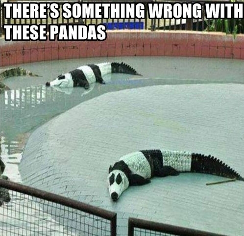 Mommy Mommy Can i pet the pandas