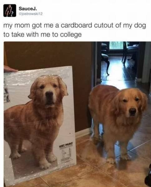 Moms are the best