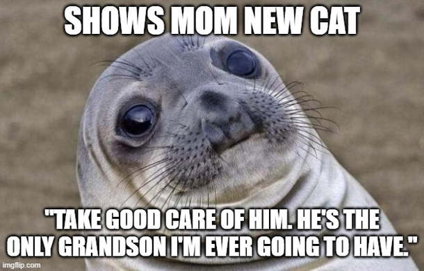 Moms drop the sickest burns