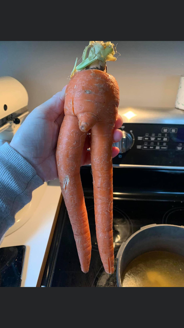 Moms friend was making soup and pulled this carrot out of the bunch