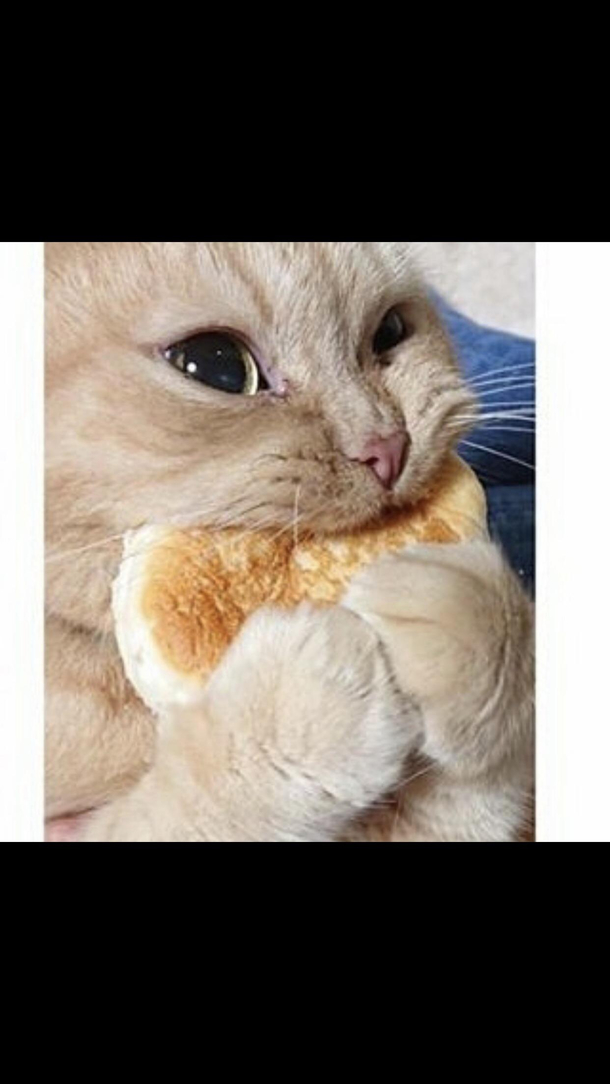 Monch momch
