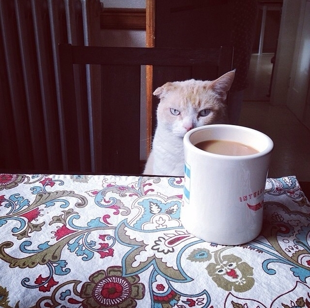 Monday mornings