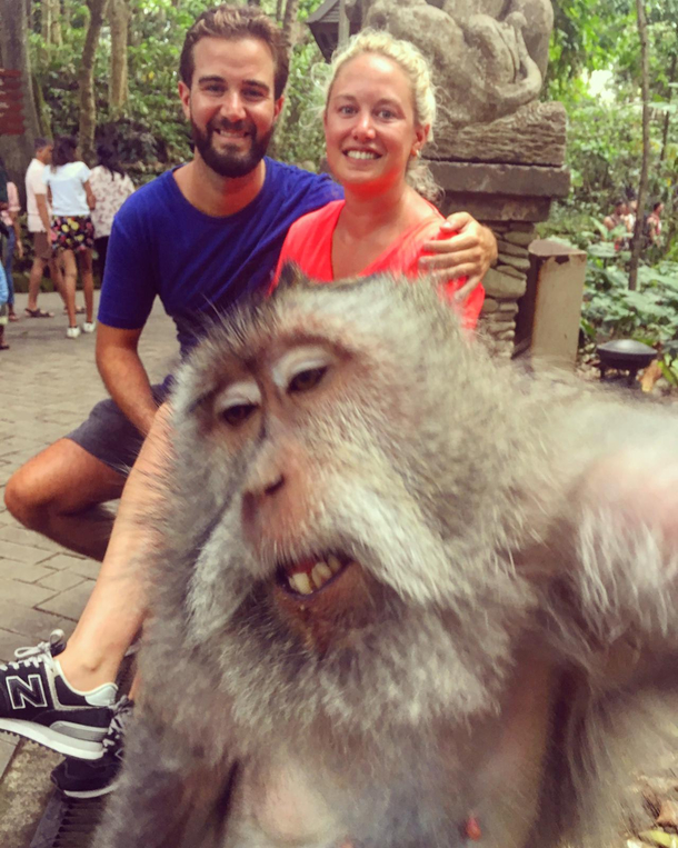 Monkey selfie