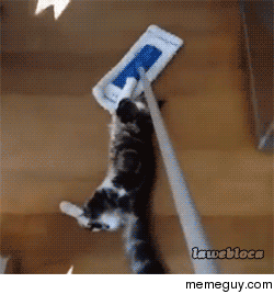 Mopping the floor