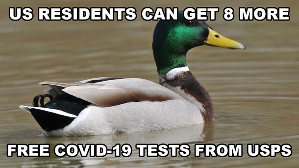 More Free Covid- Tests from USPS