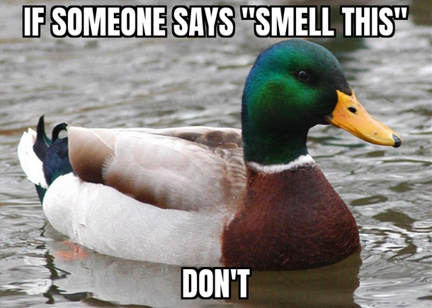 More knowledge from my Dad