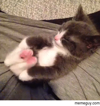 Morning Stretch