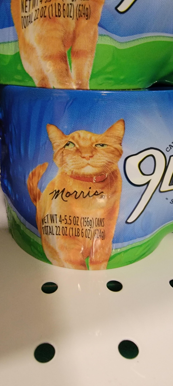 Morris has seen better days