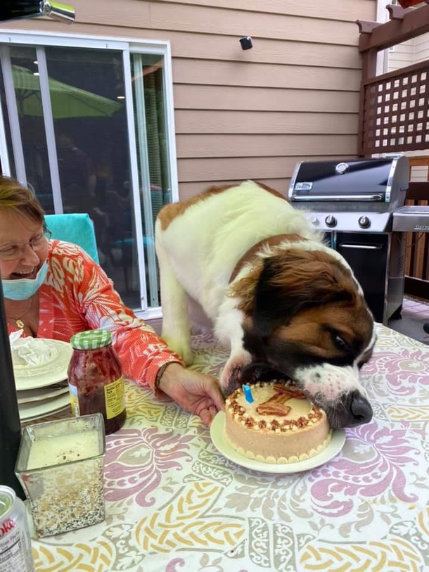 Moseley has his st birthday cake