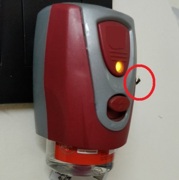 Mosquito Sitting On Mosquito Repellent Machine