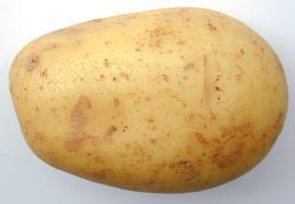 Most Americans are sleeping Time to post potato