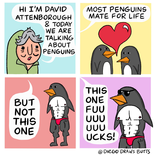 Most penguins
