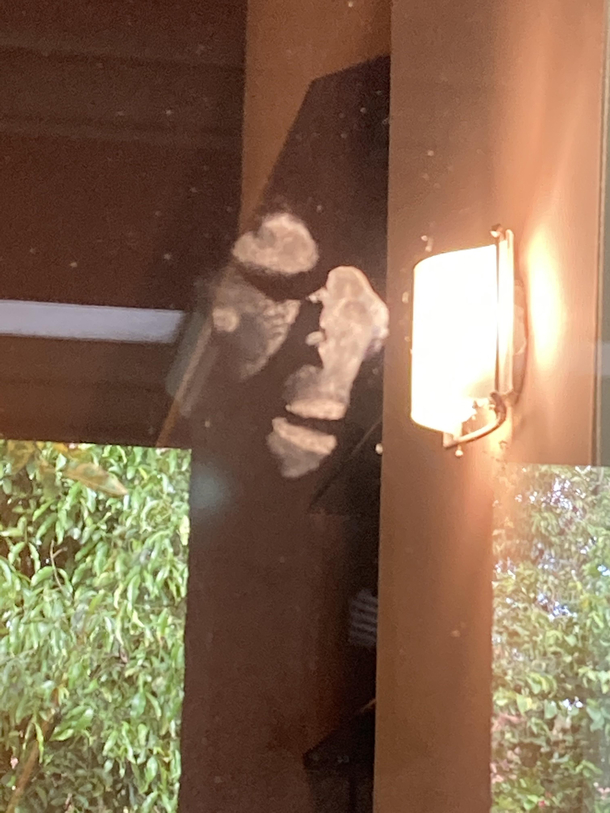 Mother-Glassdoor encounter