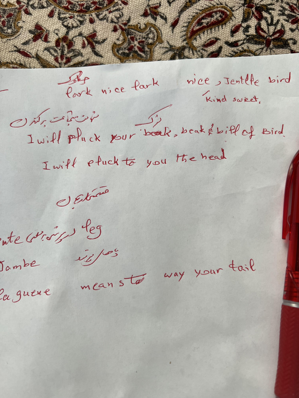 Mother-in-law is learning English