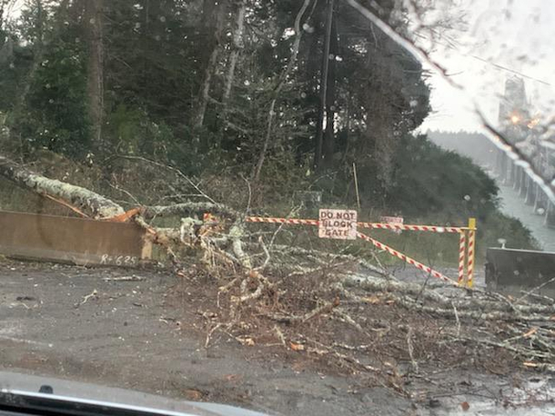 Mother Nature dont care about your rules