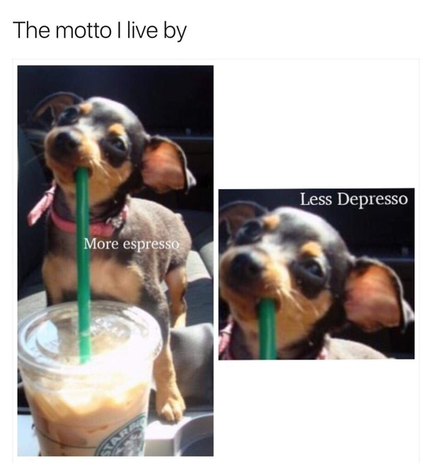Motto to live by