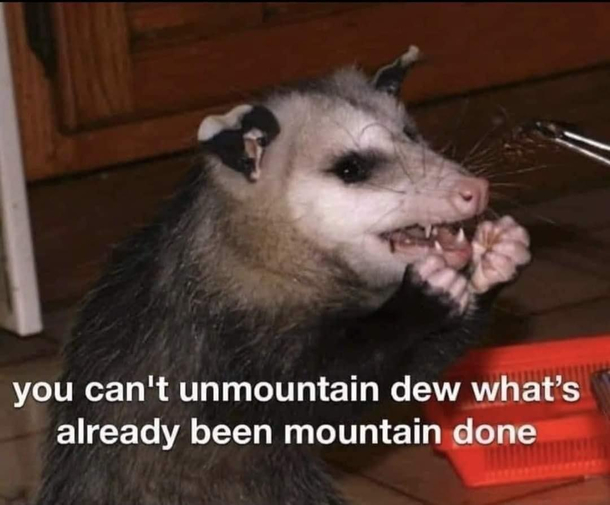 Mountain do