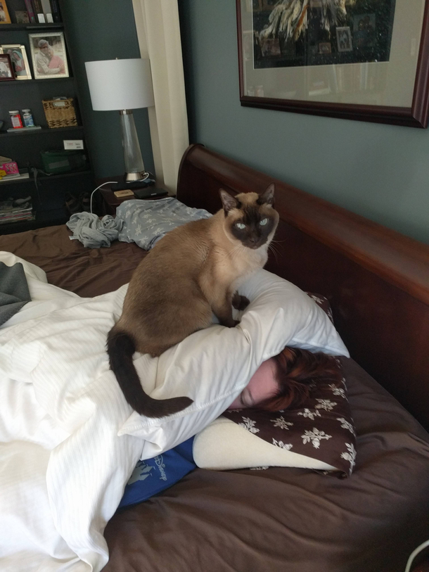Move along this does not concern you