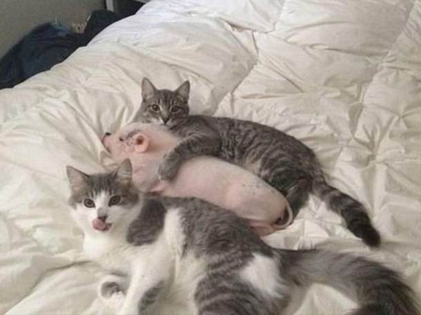 Move alongthis does not concern you