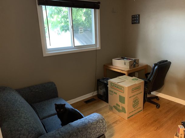 Moved started setting up new office realized I had a low budget catsting couch