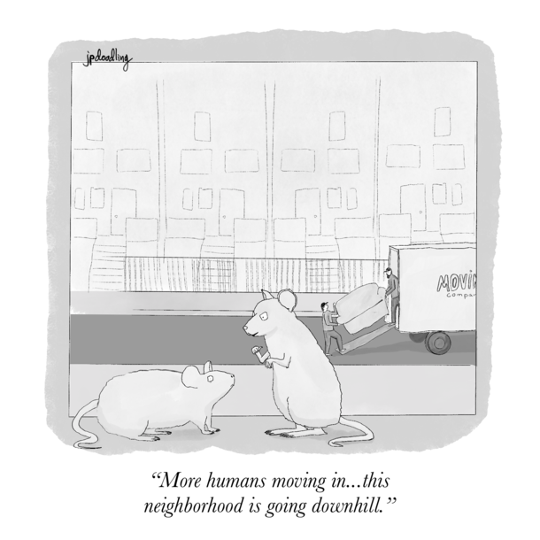 Moving day
