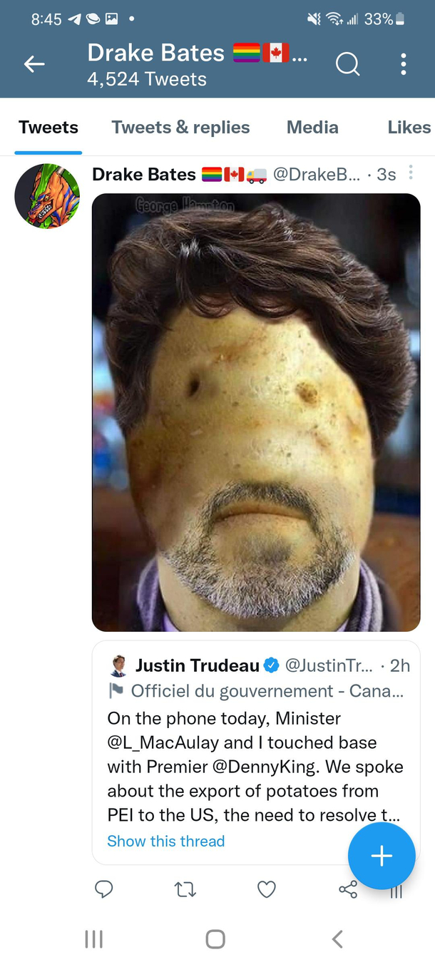 Mr Potato Head
