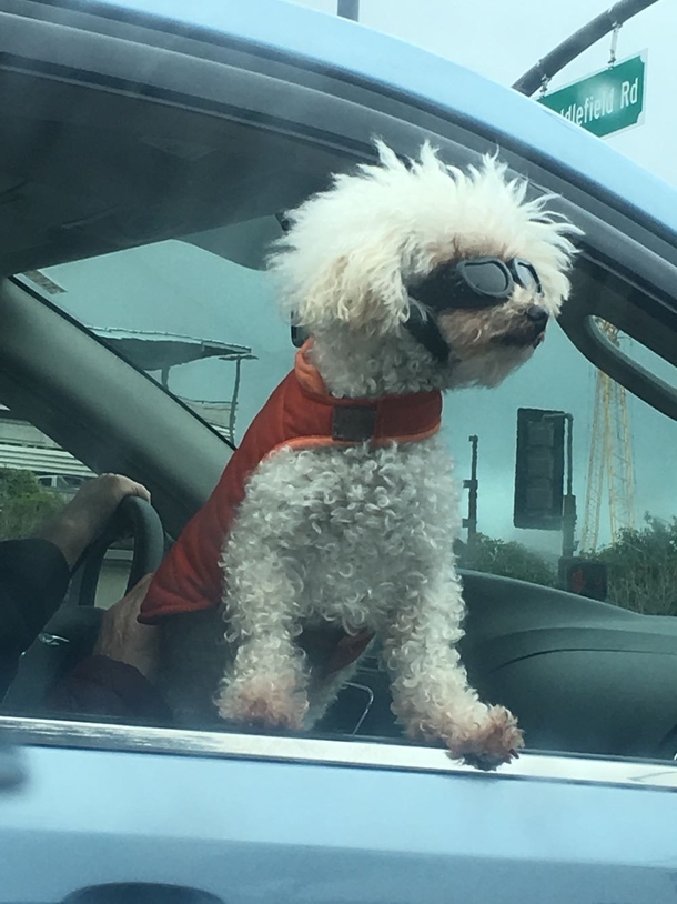Mr Steal Yo Girl