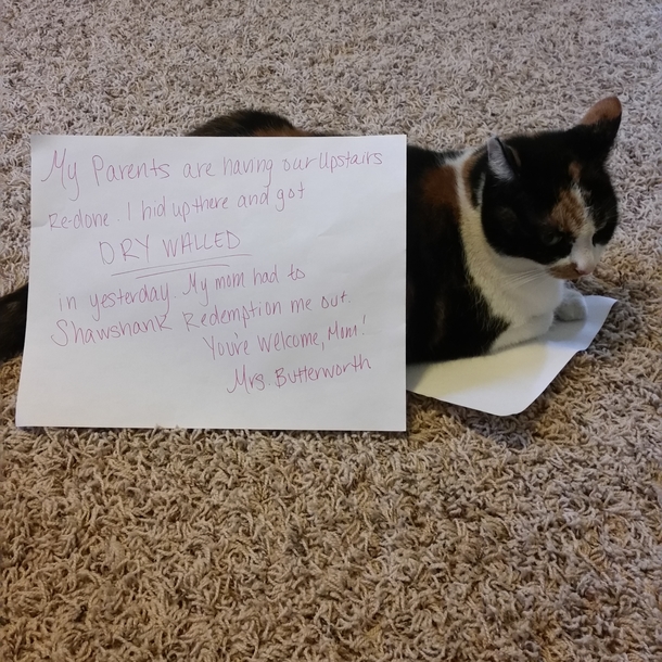 Mrs Butterworth The Shame Log xpost