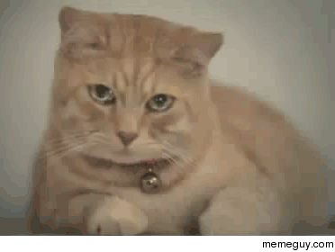 MRW a day old gonewild account has more link karma than me
