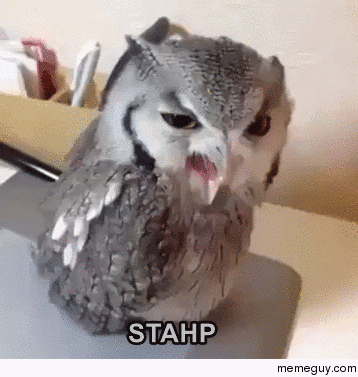 MRW a family member tries to take a picture of me to post on their facebook
