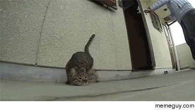 MRW a girl at a party asks me if I can really breakdance