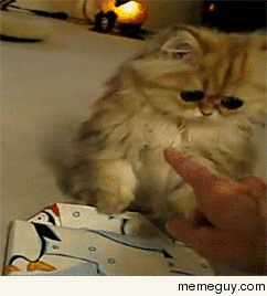 MRW everyone in my office goes to lunch and no one invites me
