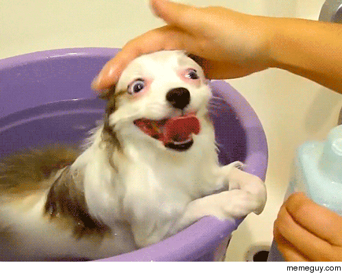 MRW getting my hair washed by someone else
