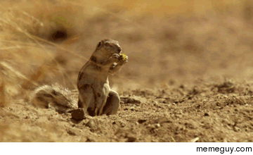 MRW I am just finishing breakfast and realize I have a test in  minutes