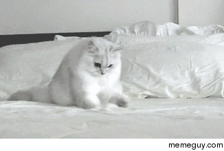 MRW I cant find my phone