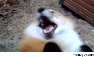 MRW I Catch a Girl Checking Me Out
