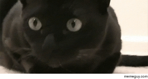 MRW I come home from college and open my parents fridge