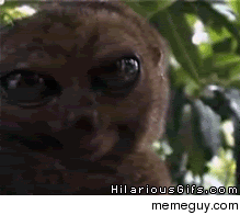MRW I discovered rcumsluts