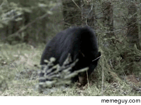 MRW I feel a bug on me