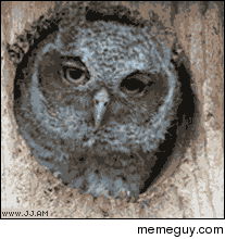 MRW I feel left out of the circle of conversation