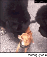 MRW i fucked up in Boot Camp