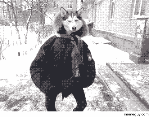 MRW i get dat snowday cancellation