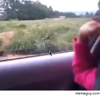 MRW I get home from work just in time to see my daughter leave for school