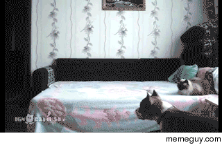 MRW I get home to my own bed after being away for a week