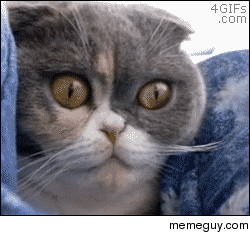 MRW I get my exam grades