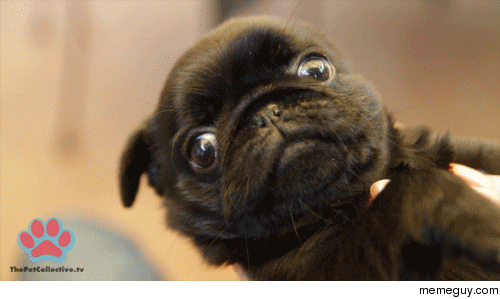 MRW I get smiled at by the hot girl then I try to be smooth