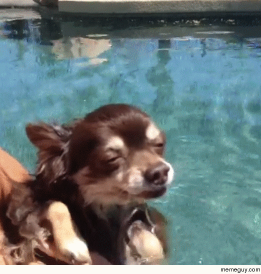 MRW I get too baked and go swimming