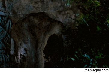 MRW I go into Mt Moon without any Repels