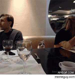 MRW I go out to dinner with friends and realize everyone brought a date but me