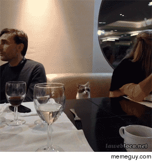 MRW I go out to dinner with my family and they talk about my brothers upcoming wedding the entire time